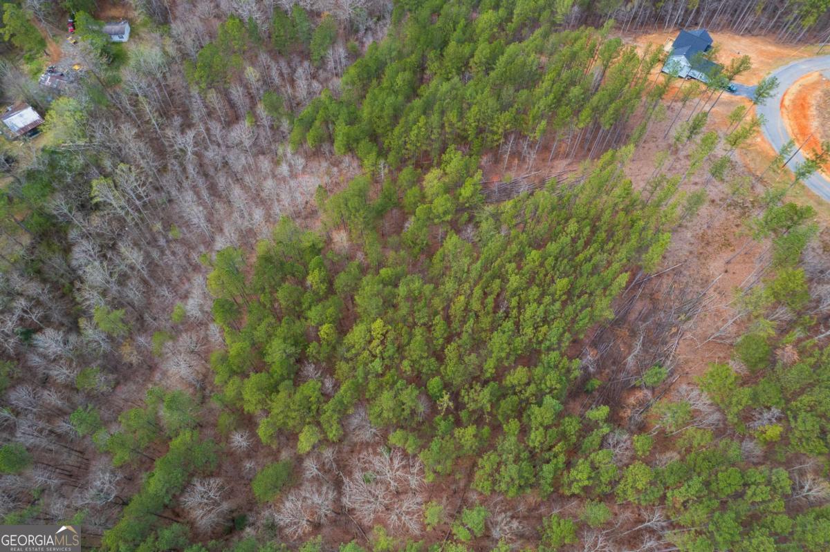 Lot 112 Blalock Mountain Road Property Photo 19