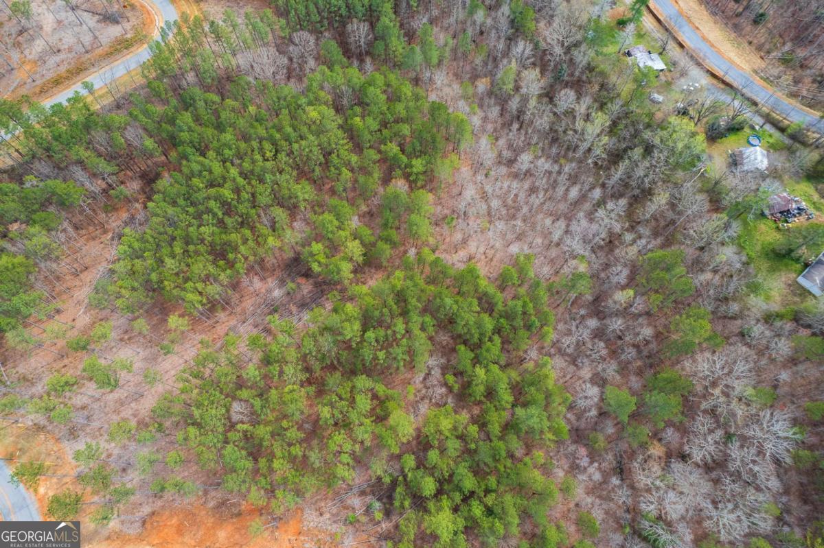 Lot 112 Blalock Mountain Road Property Photo 20