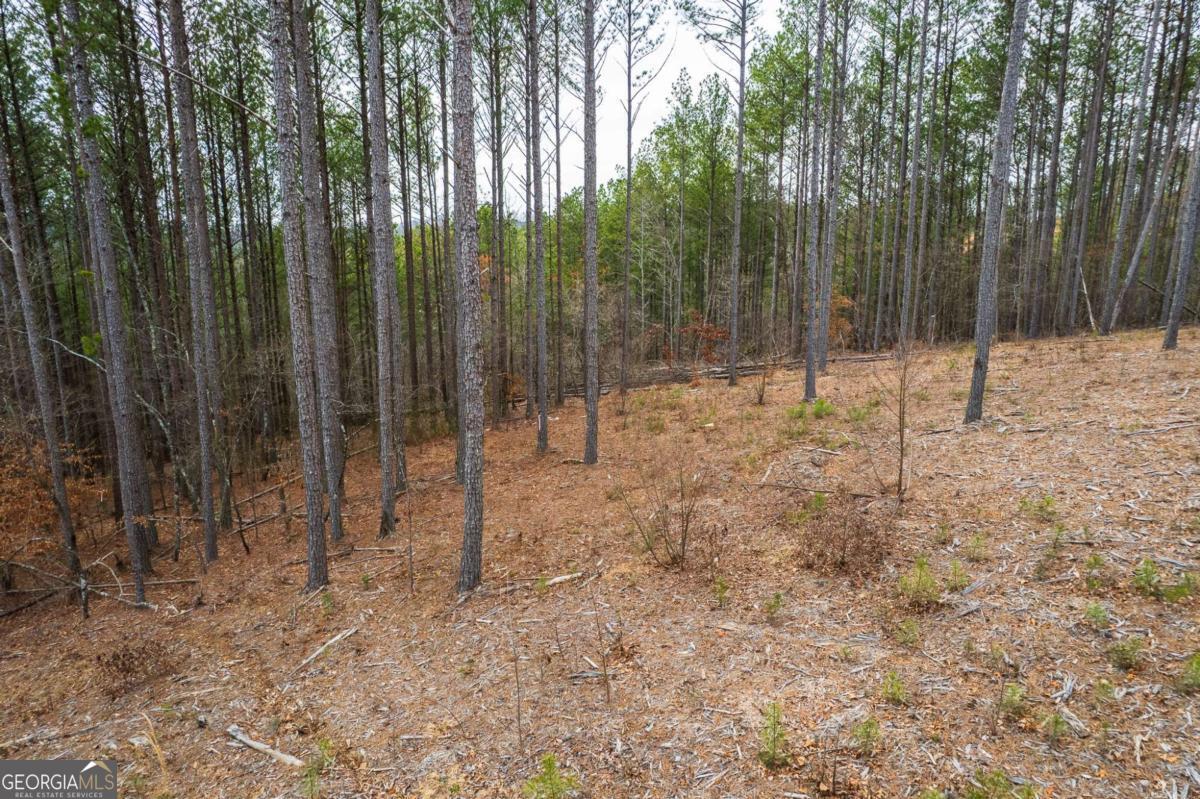 Lot 112 Blalock Mountain Road Property Photo 21