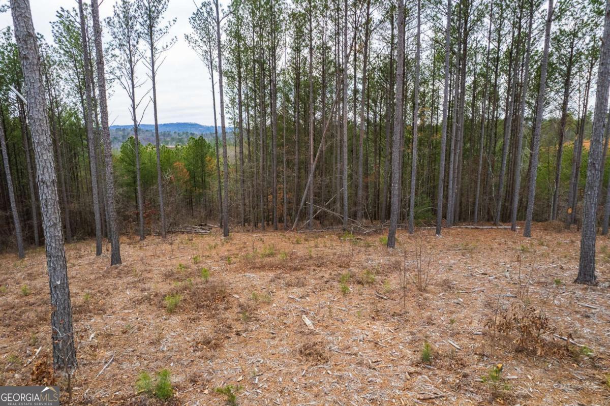 Lot 112 Blalock Mountain Road Property Photo 22