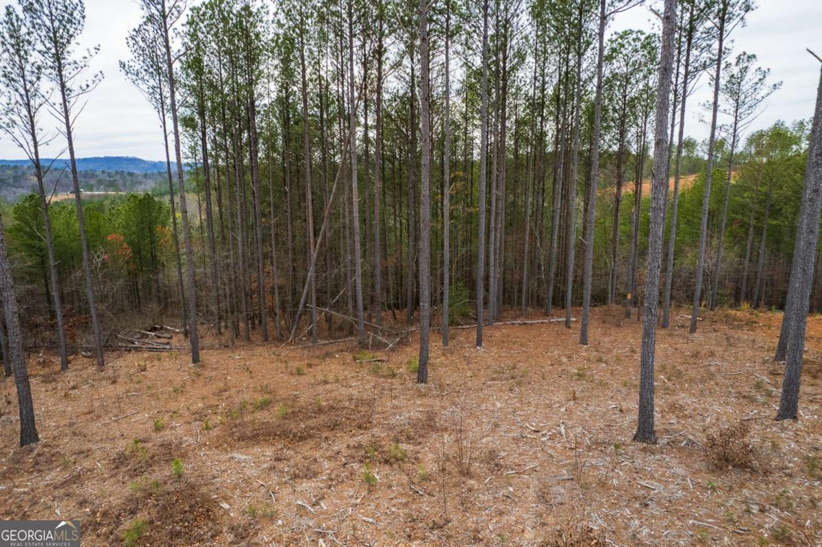 Lot 112 Blalock Mountain Road Property Photo 23