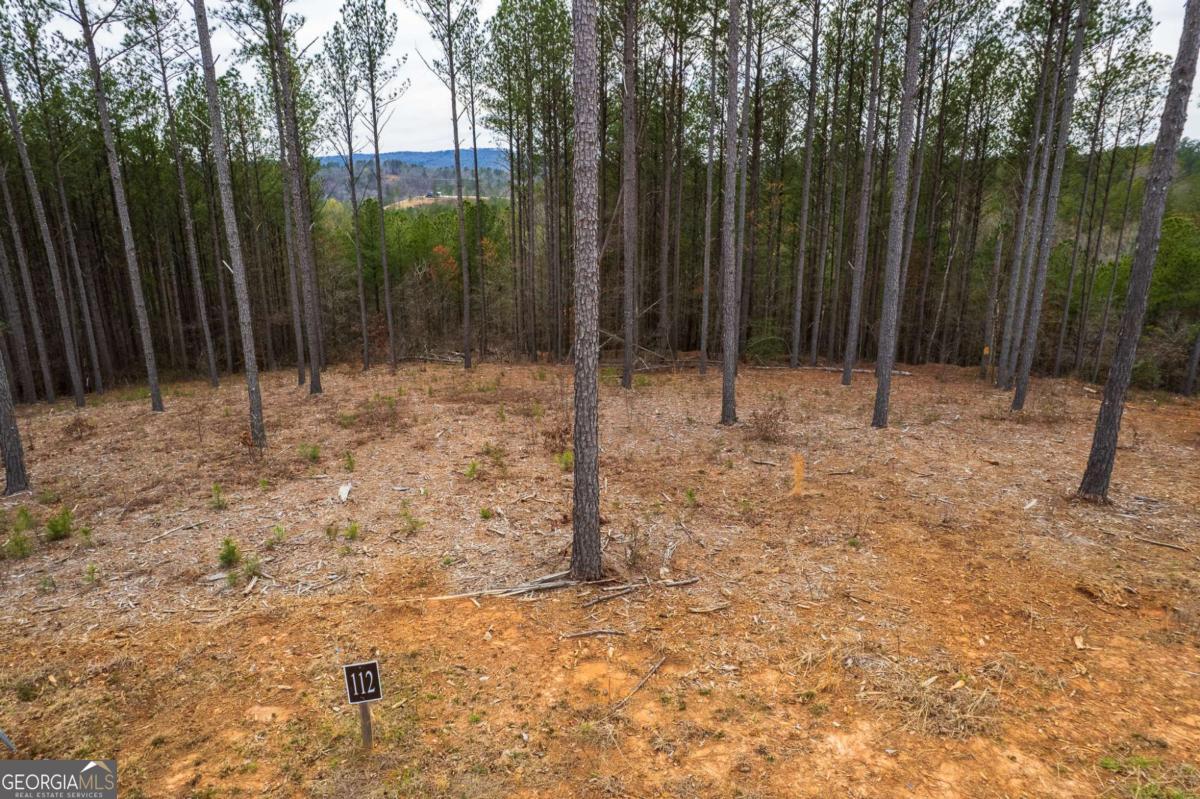 Lot 112 Blalock Mountain Road Property Photo 24