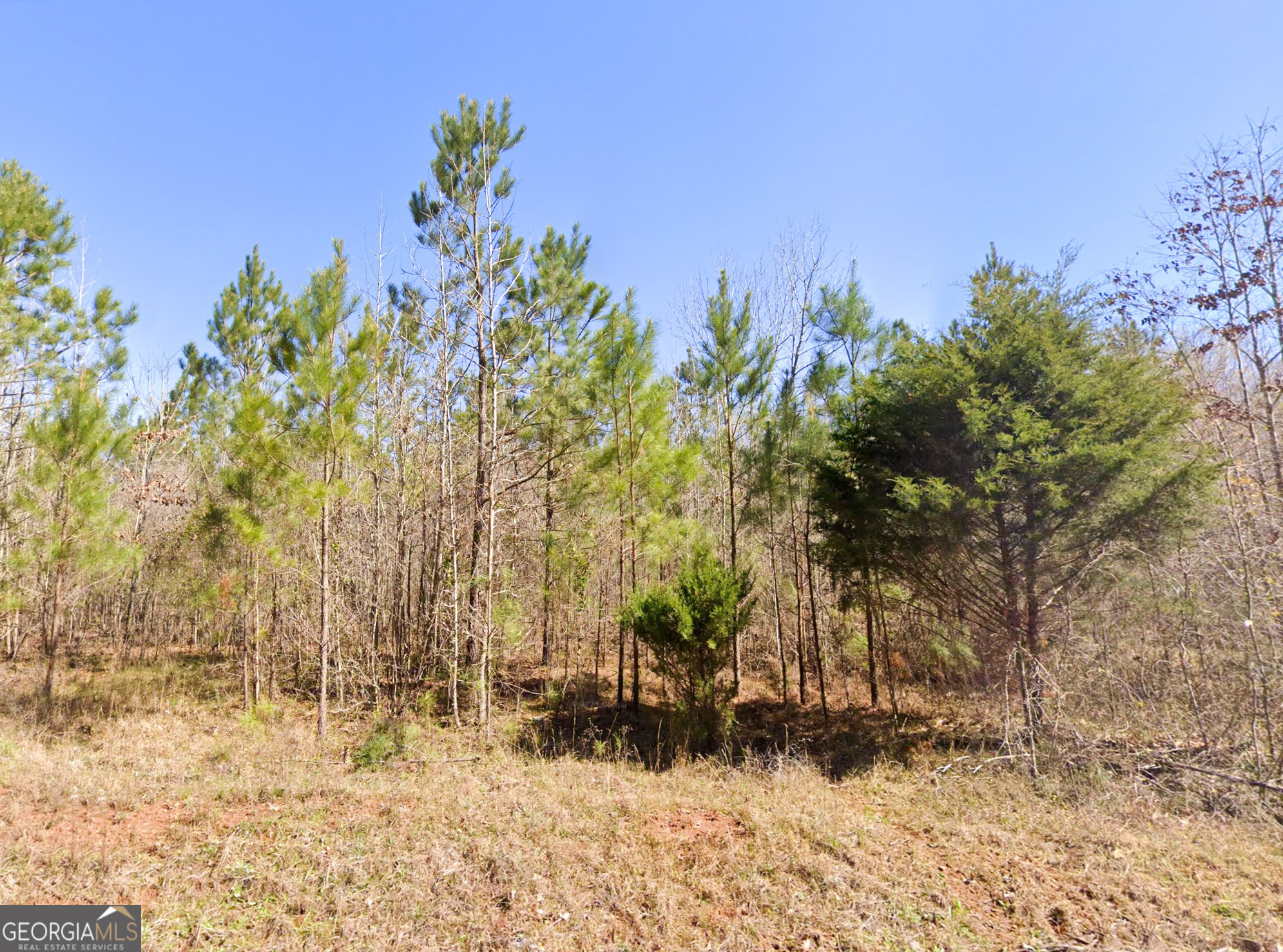 0 W Luke Road Property Photo