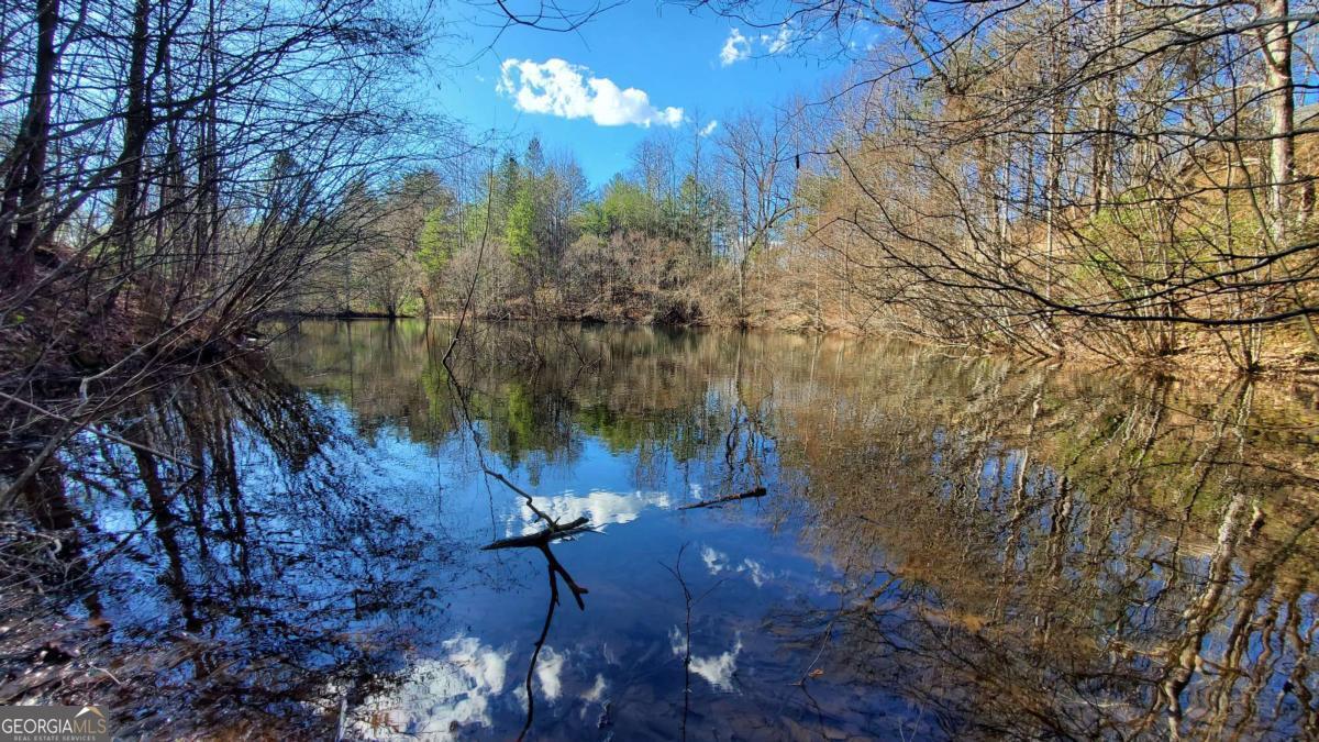 51+ Acre Mountain Cove Way # 8 Property Photo