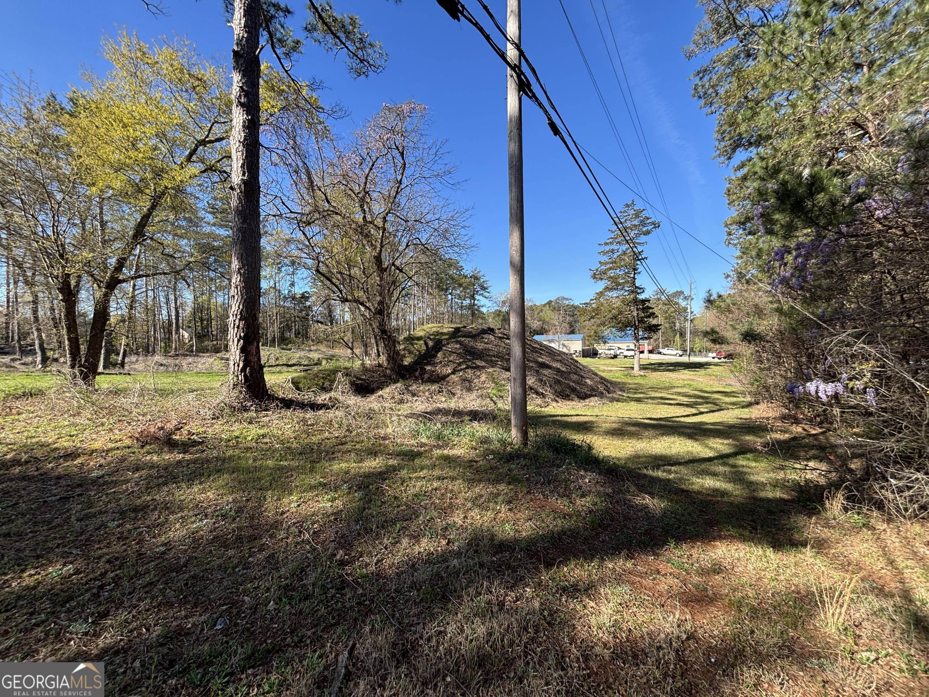 7117 Brown Bridge Road Property Photo 12