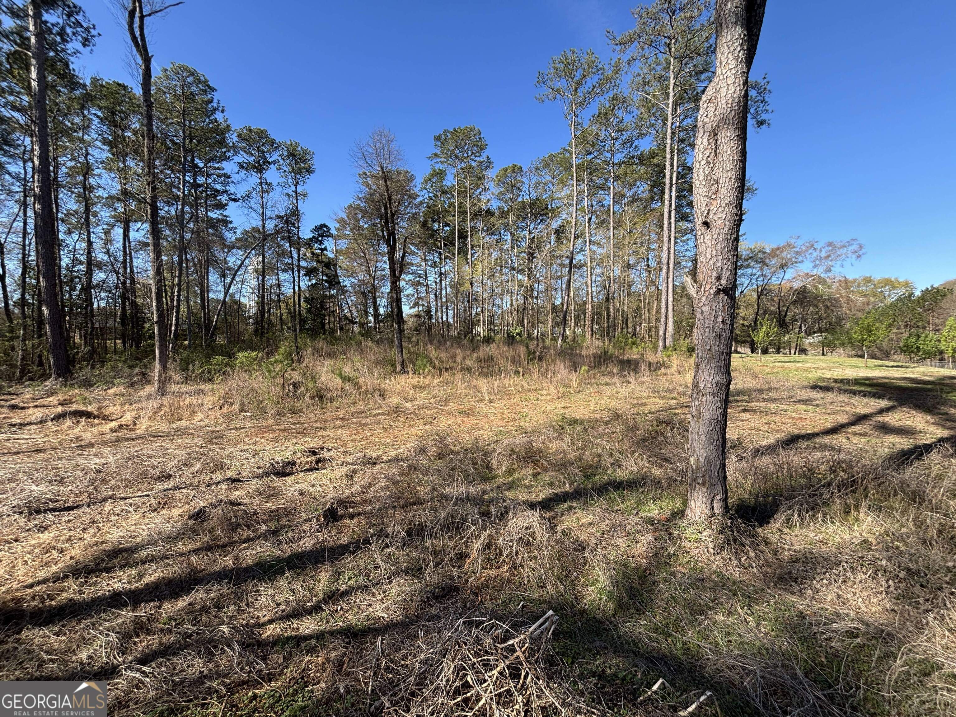 7117 Brown Bridge Road Property Photo 16