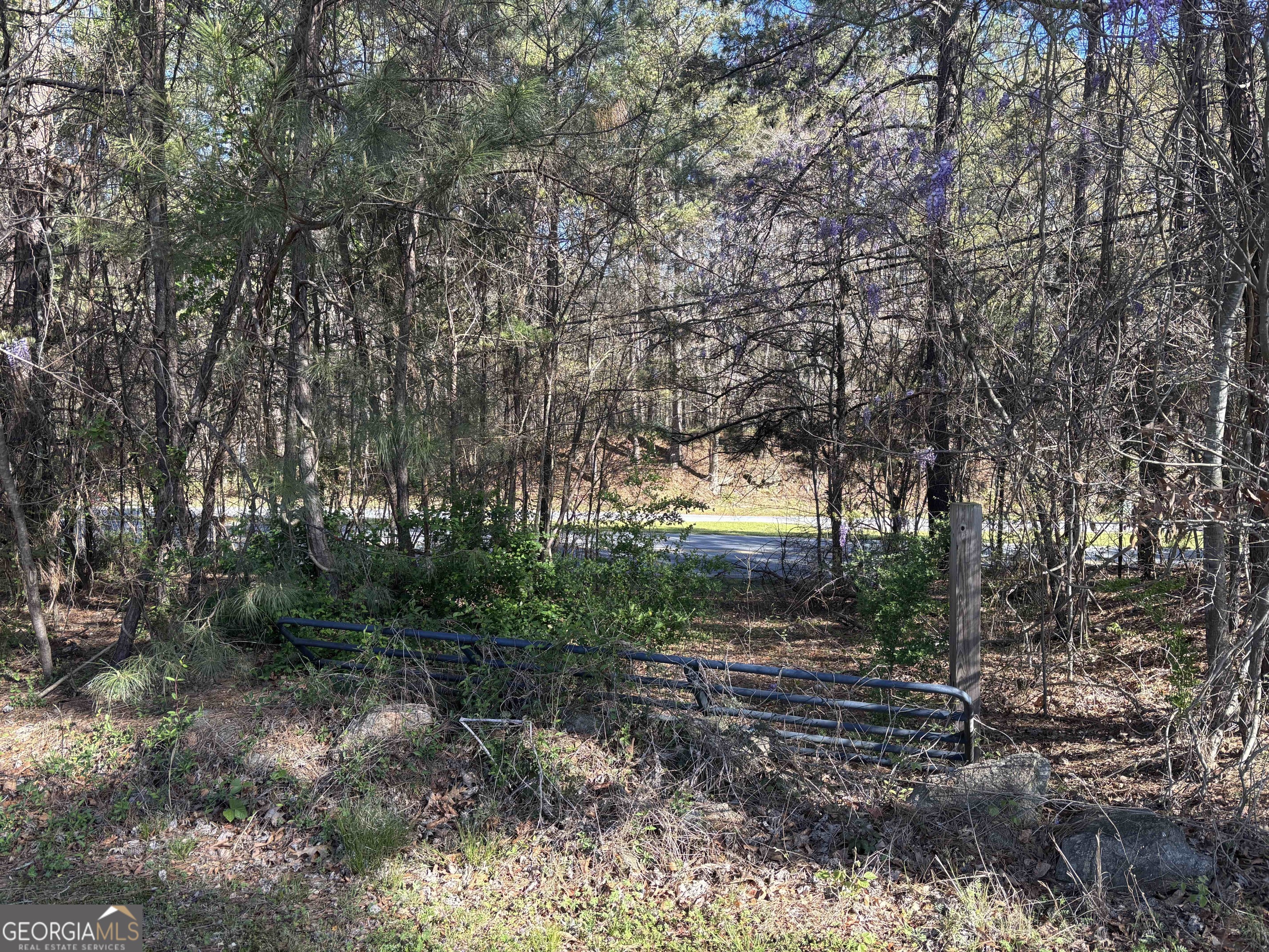 7117 Brown Bridge Road Property Photo 37