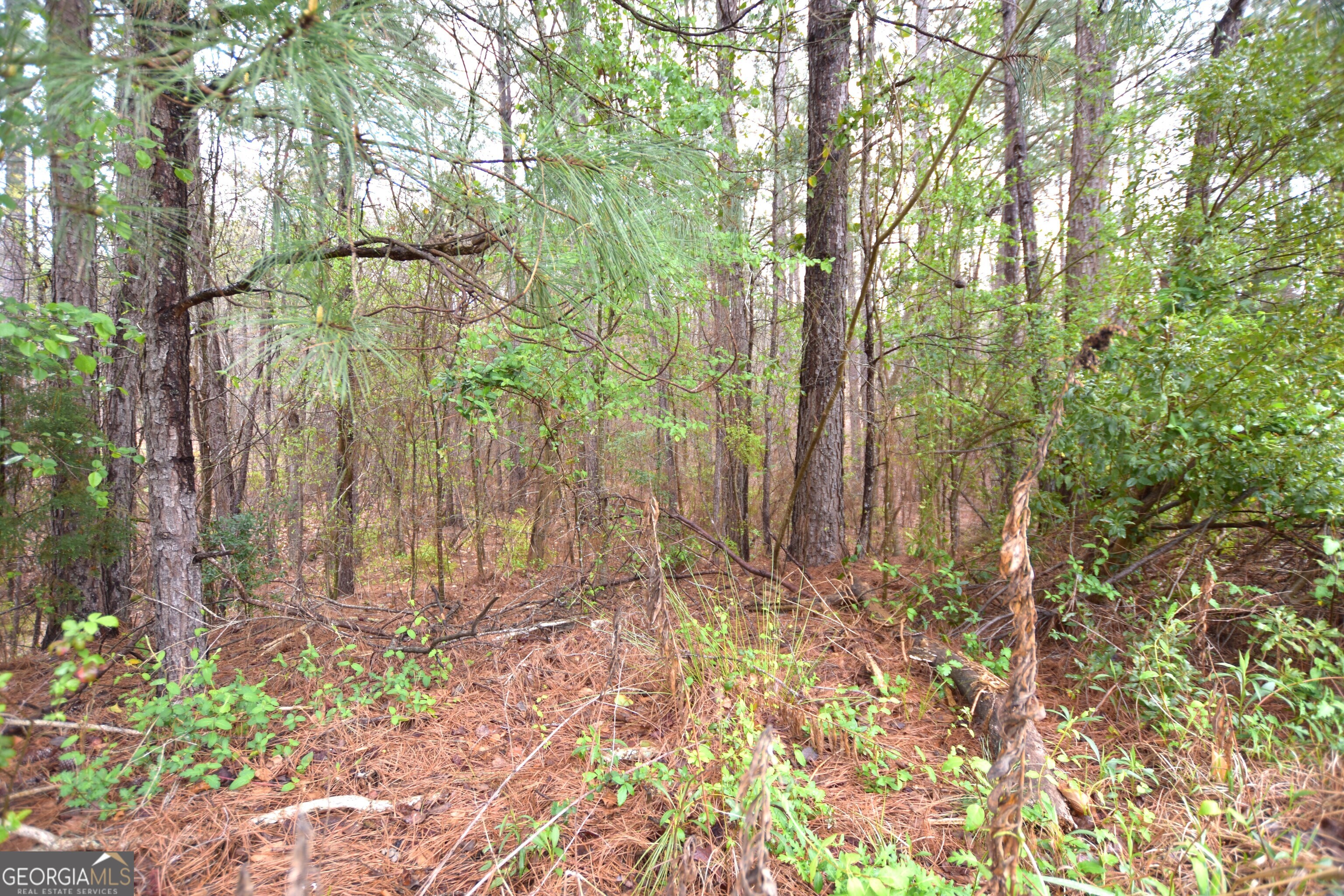 116 Nautica Point Property Photo 3