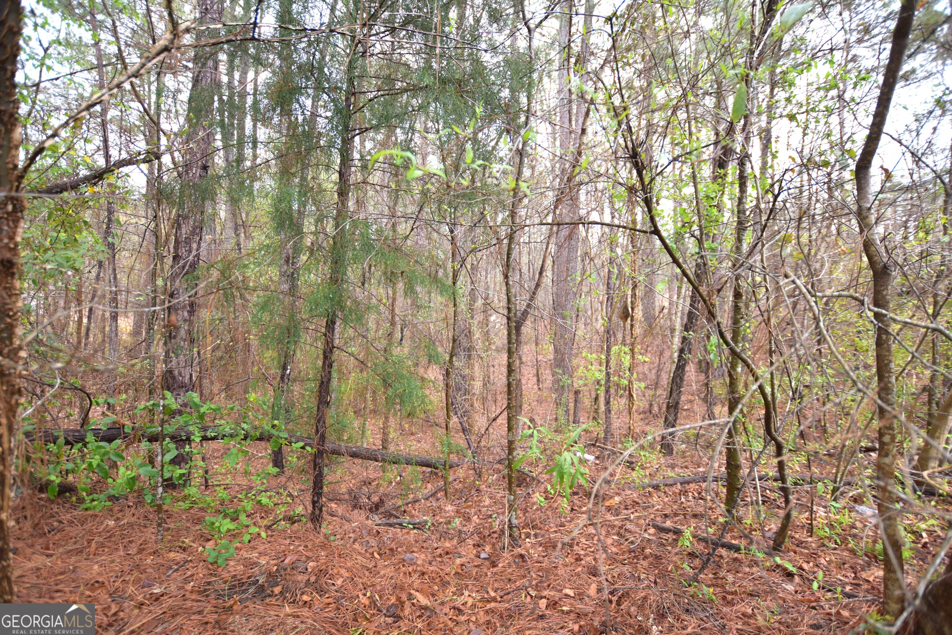 116 Nautica Point Property Photo 4