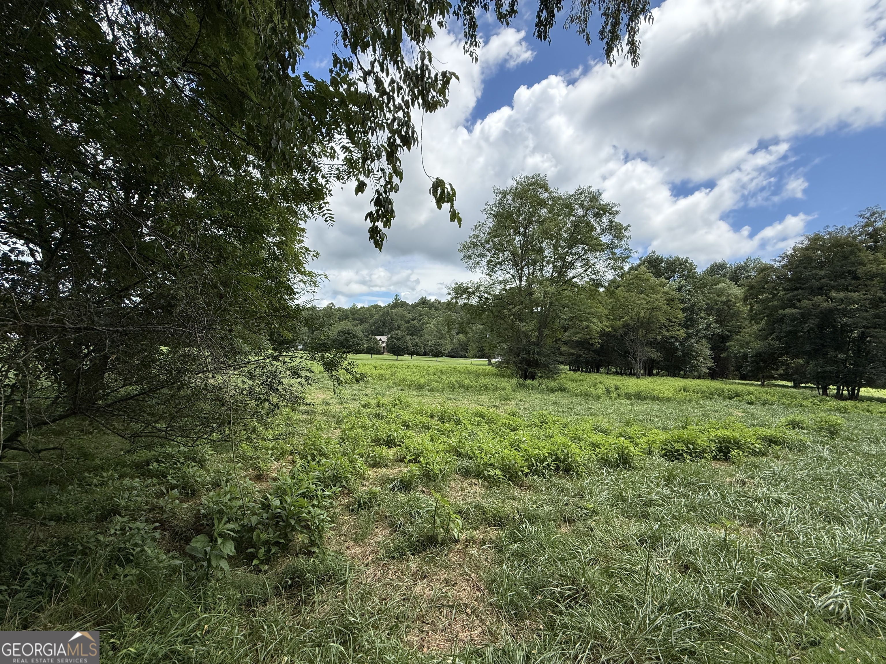 Lot 9 Riverside Property Photo 14