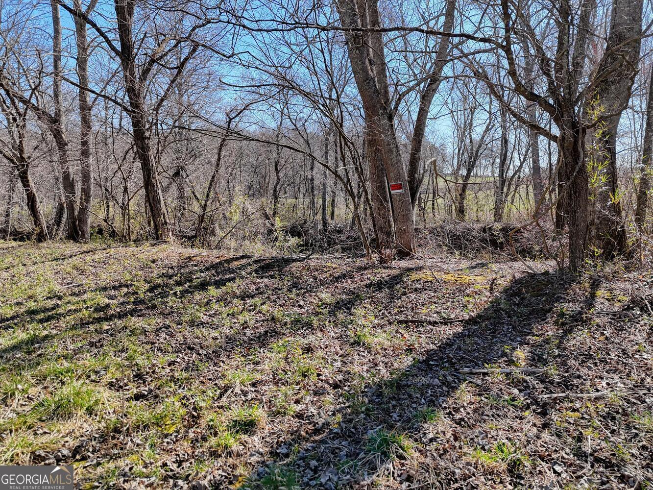 Lot 9 Riverside Property Photo 22