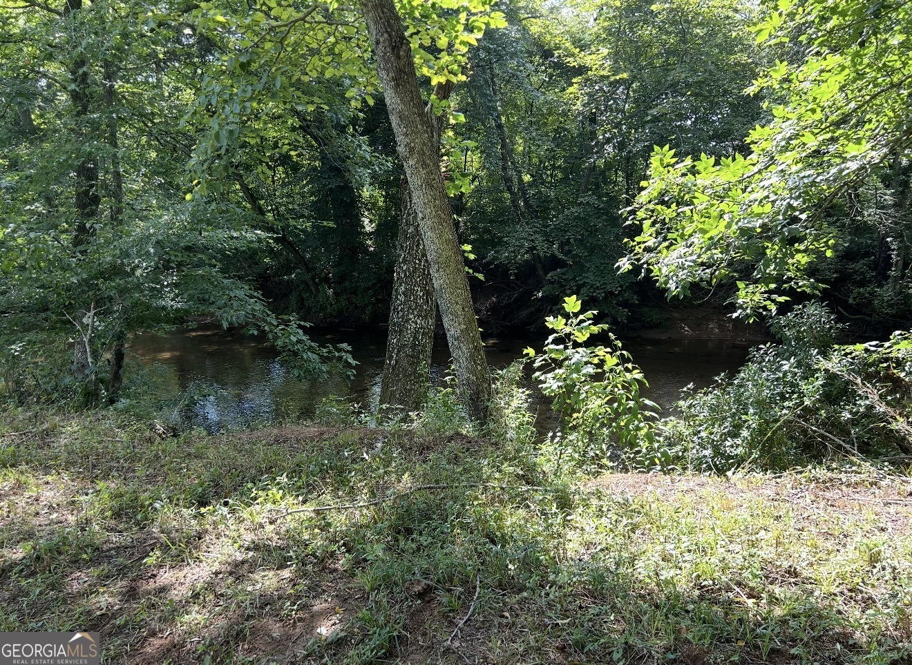 Lot 9 Riverside Property Photo 30