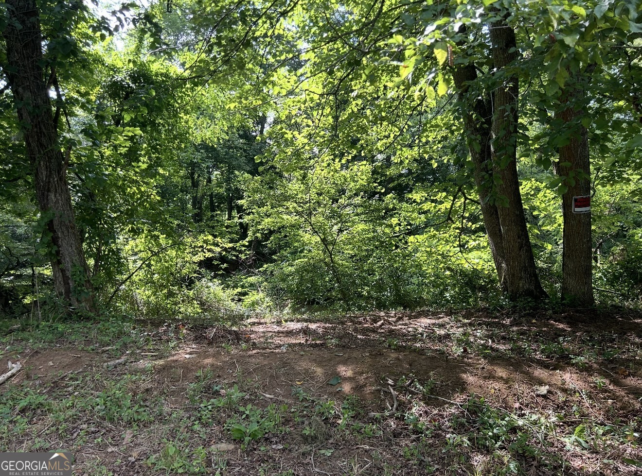 Lot 9 Riverside Property Photo 31