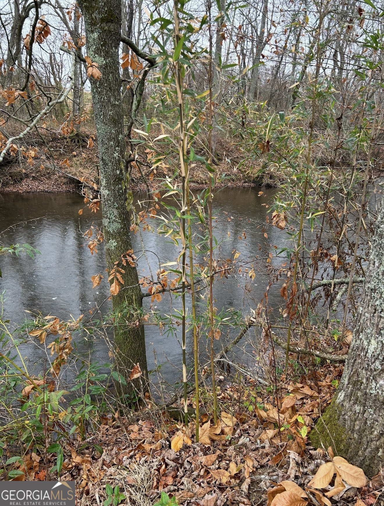 Lot 9 Riverside Property Photo 34