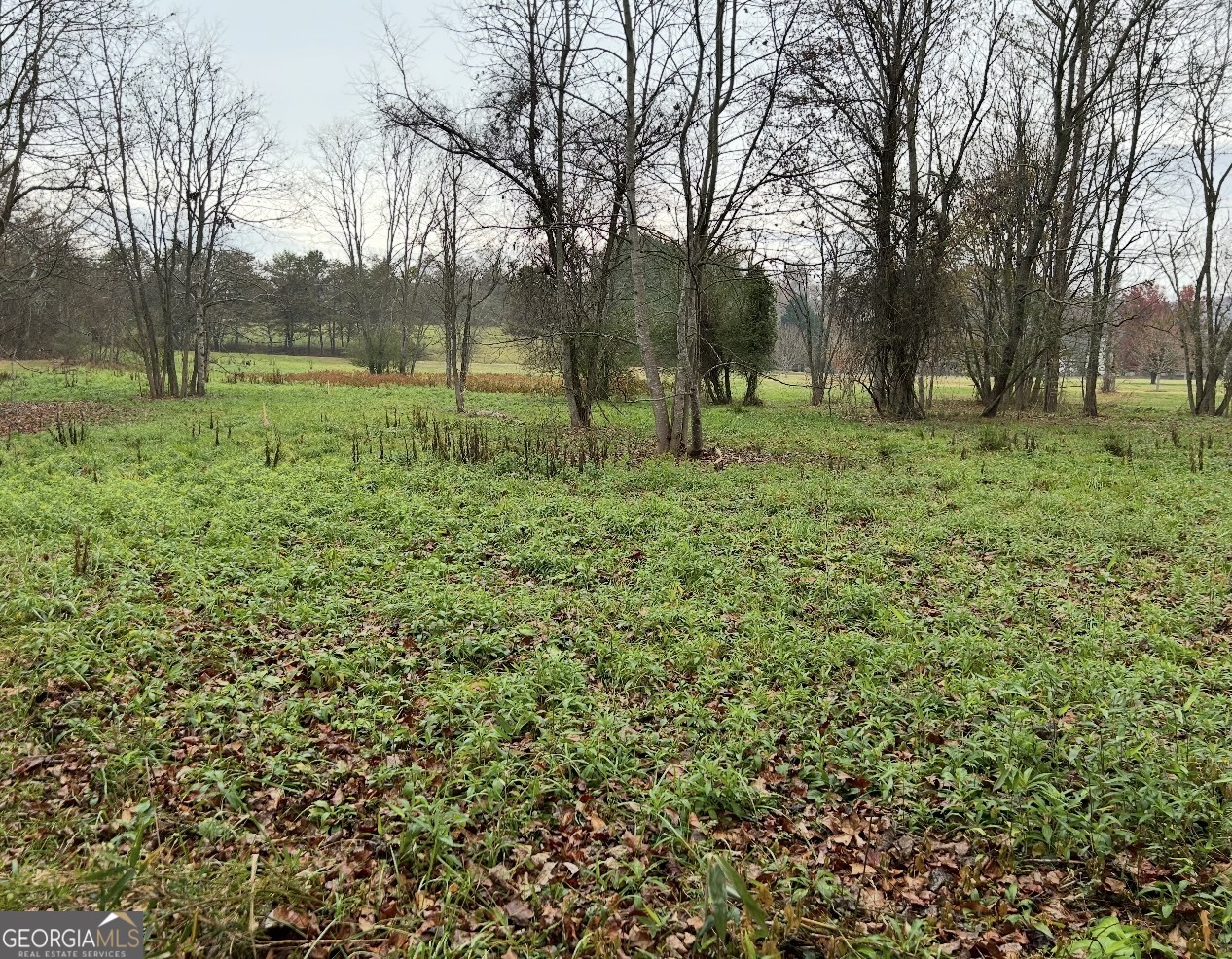 Lot 9 Riverside Property Photo 35