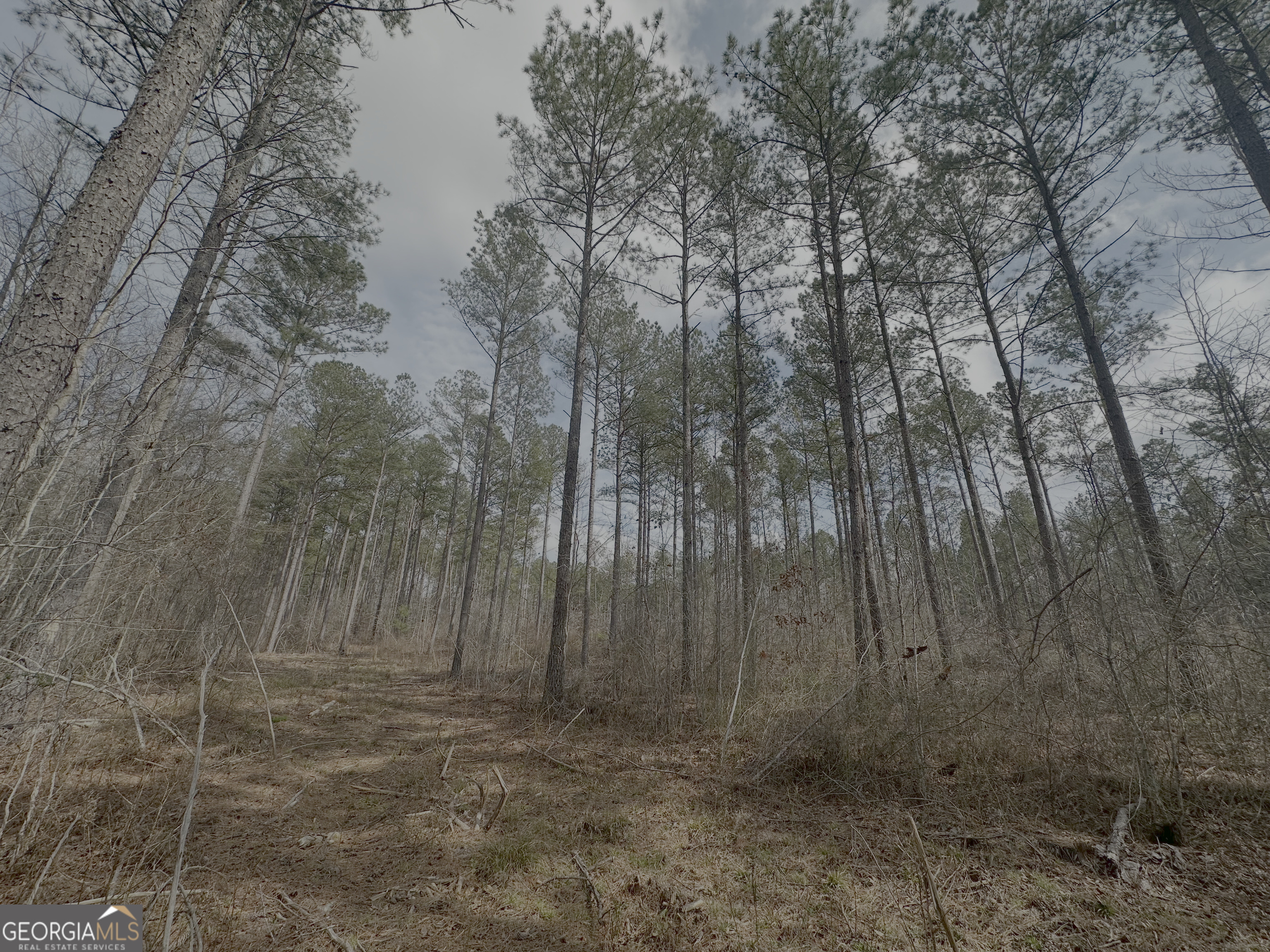 210.73 Acres Property Photo 1
