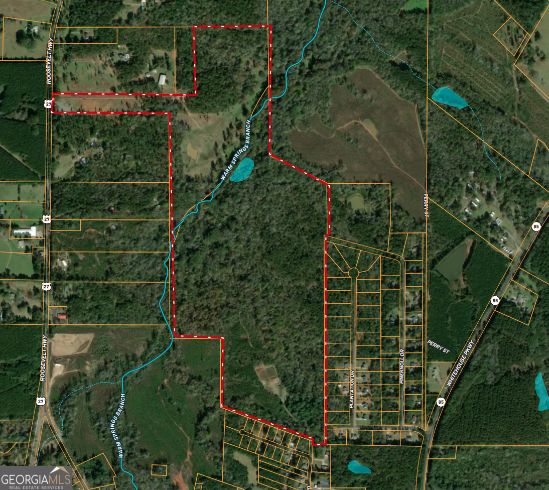 146 Acres Roosevelt Highway Property Photo 1