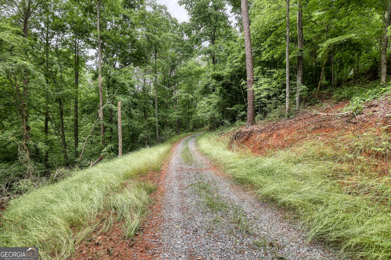 0 Shady Grove Road Property Photo 4