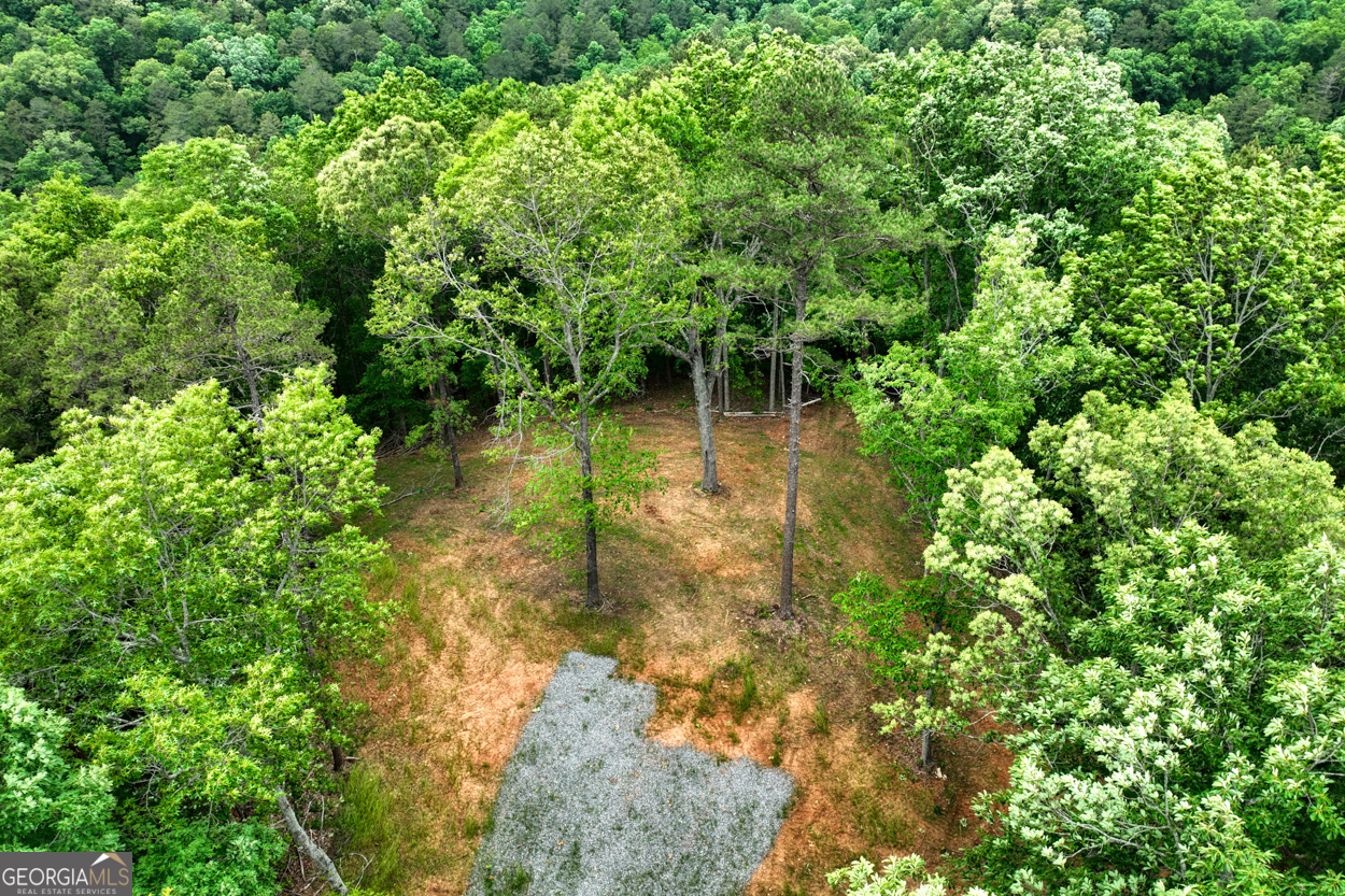 0 Shady Grove Road Property Photo 6