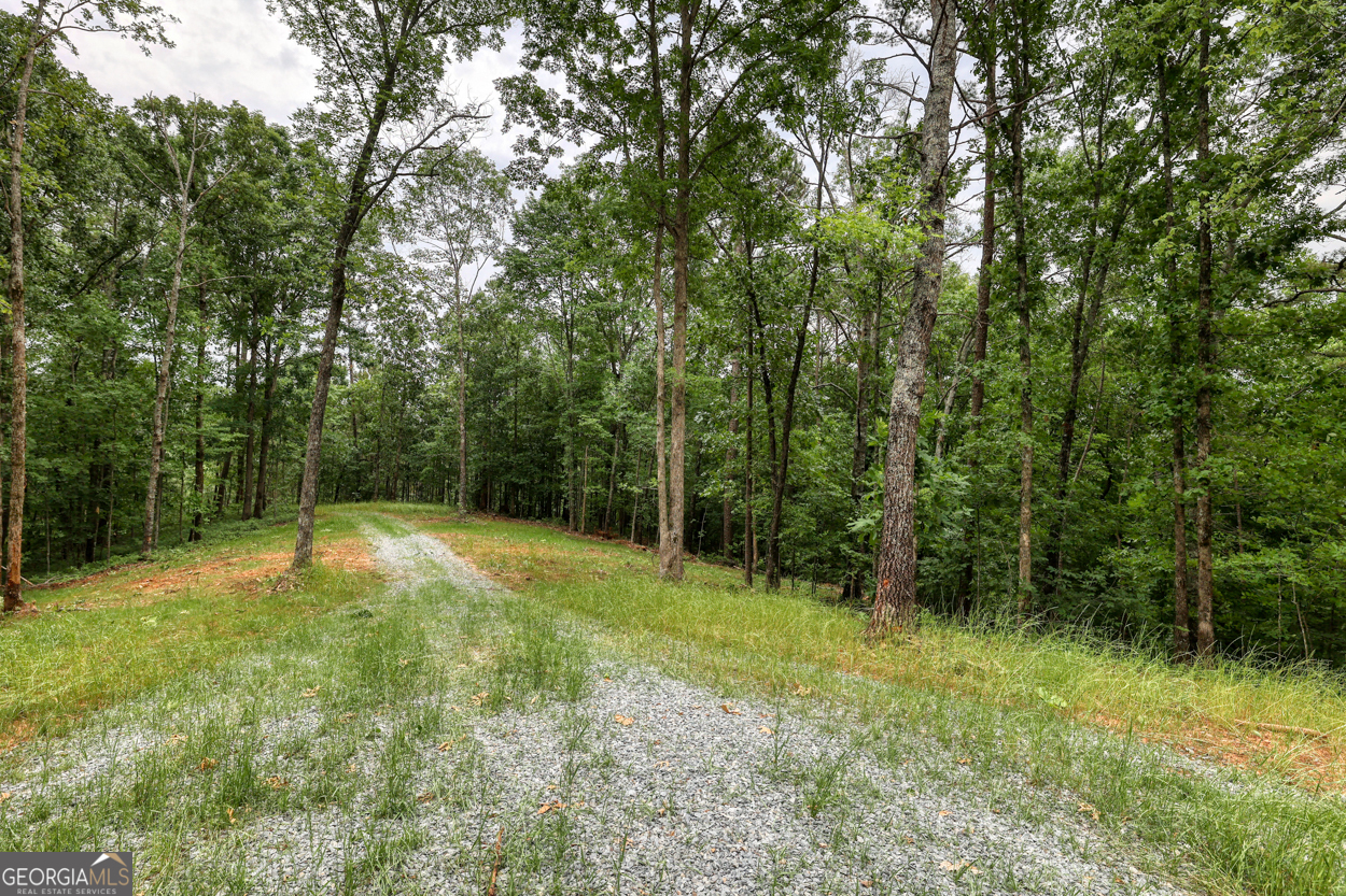0 Shady Grove Road Property Photo 7