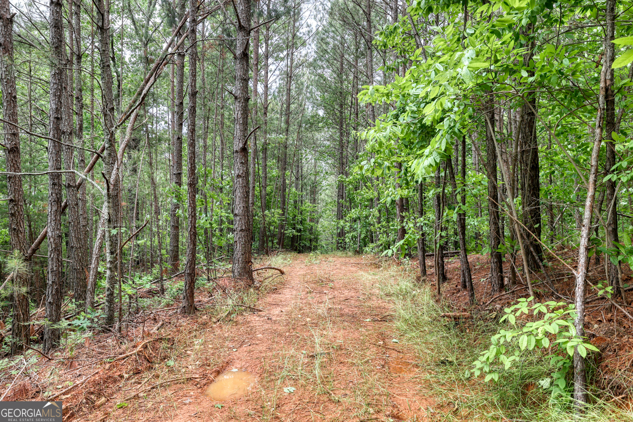 0 Shady Grove Road Property Photo 9