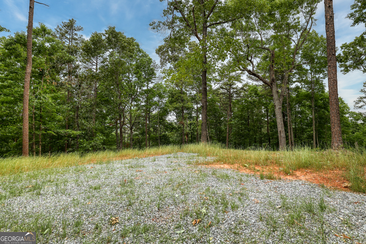 0 Shady Grove Road Property Photo 10