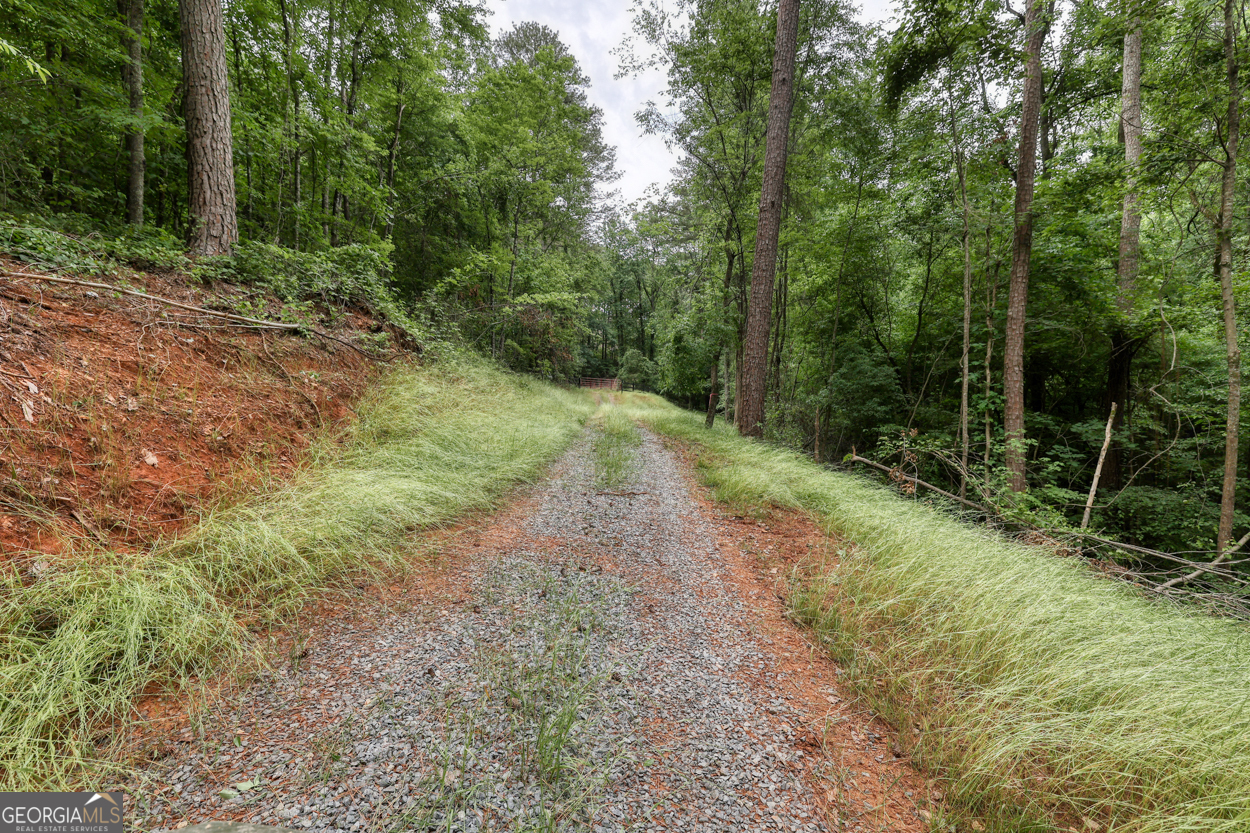0 Shady Grove Road Property Photo 12