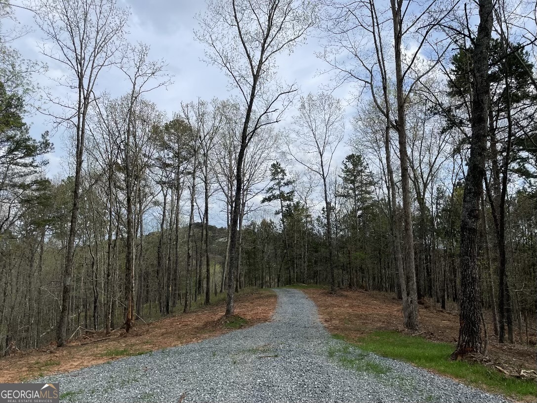 0 Shady Grove Road Property Photo 21