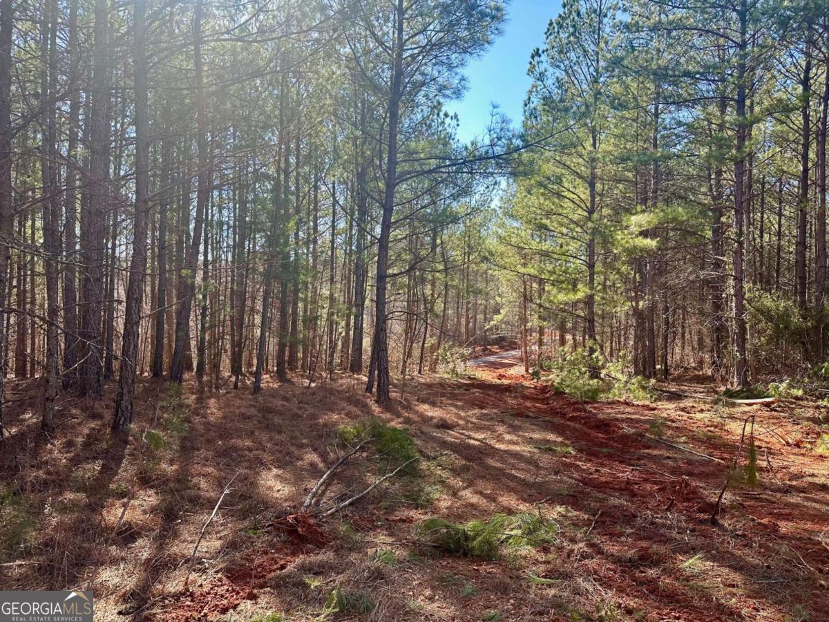 5-/+ Patriot Property Photo 1