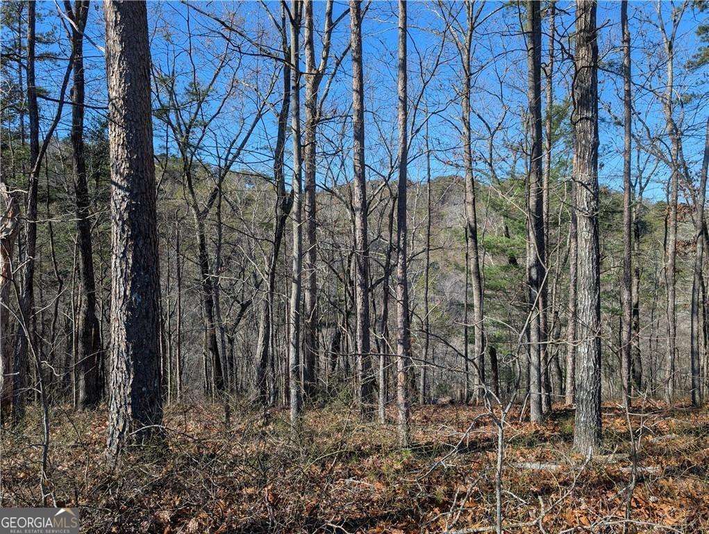 1400 Foxhound Trail Ne Property Photo 1