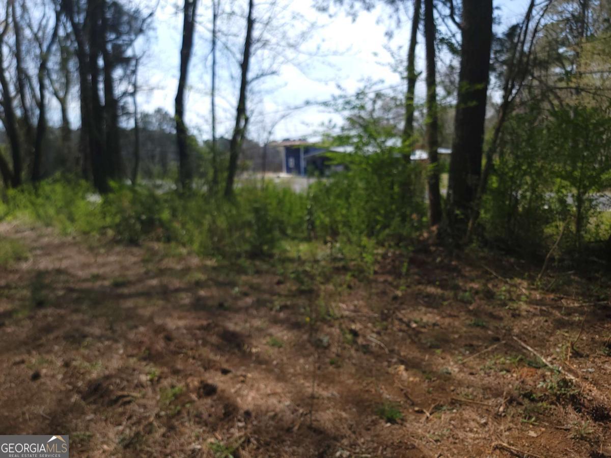 0 Calhoun Road Ne Property Photo 6