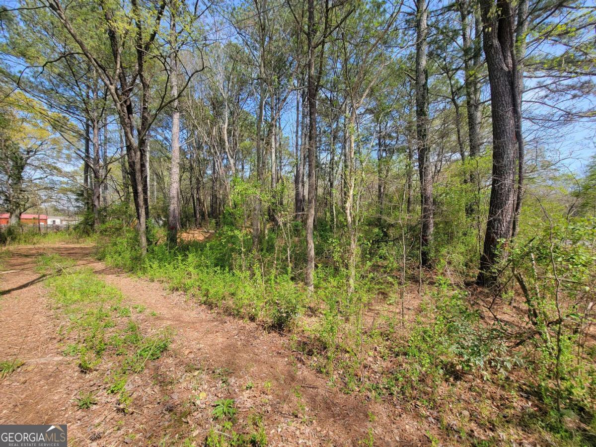 0 Calhoun Road Ne Property Photo 10