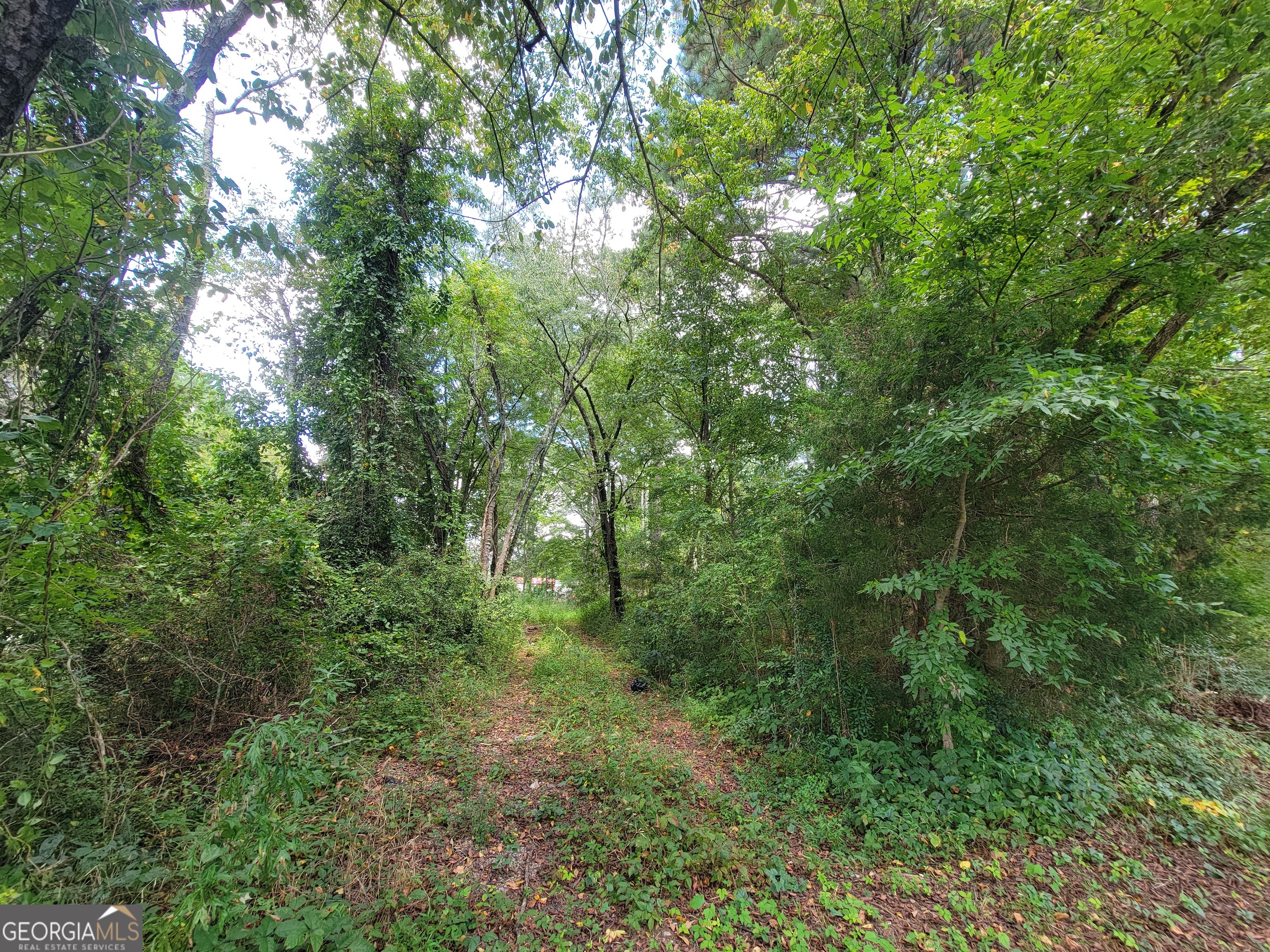 0 Calhoun Road Ne Property Photo 11