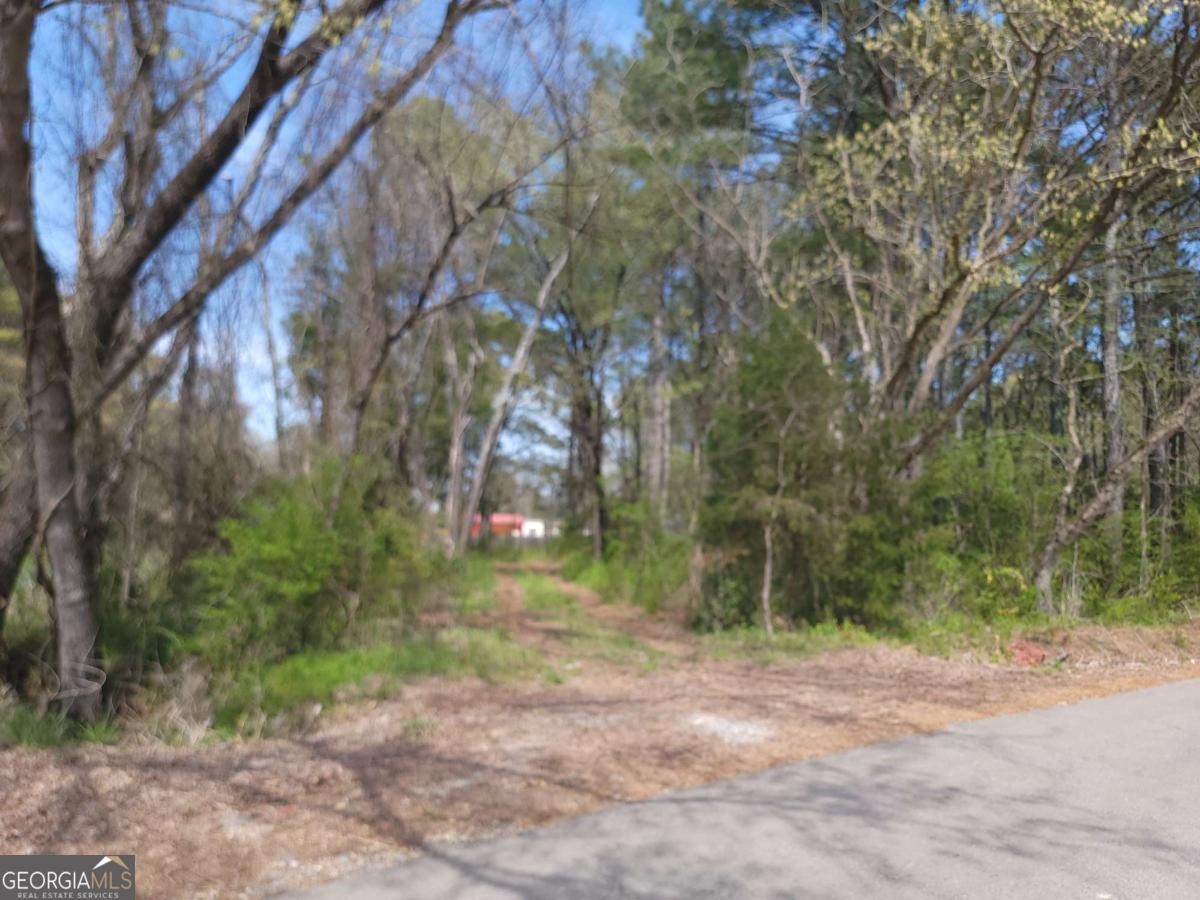 0 Calhoun Road Ne Property Photo 14