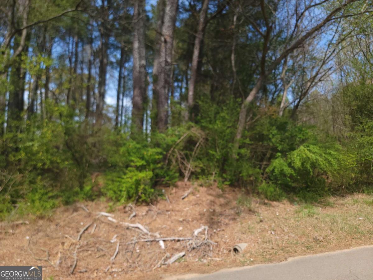 0 Calhoun Road Ne Property Photo 15