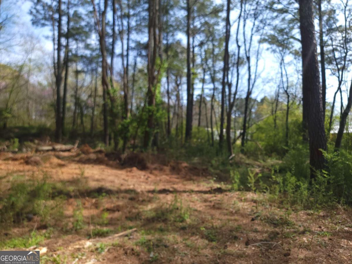 0 Calhoun Road Ne Property Photo 21