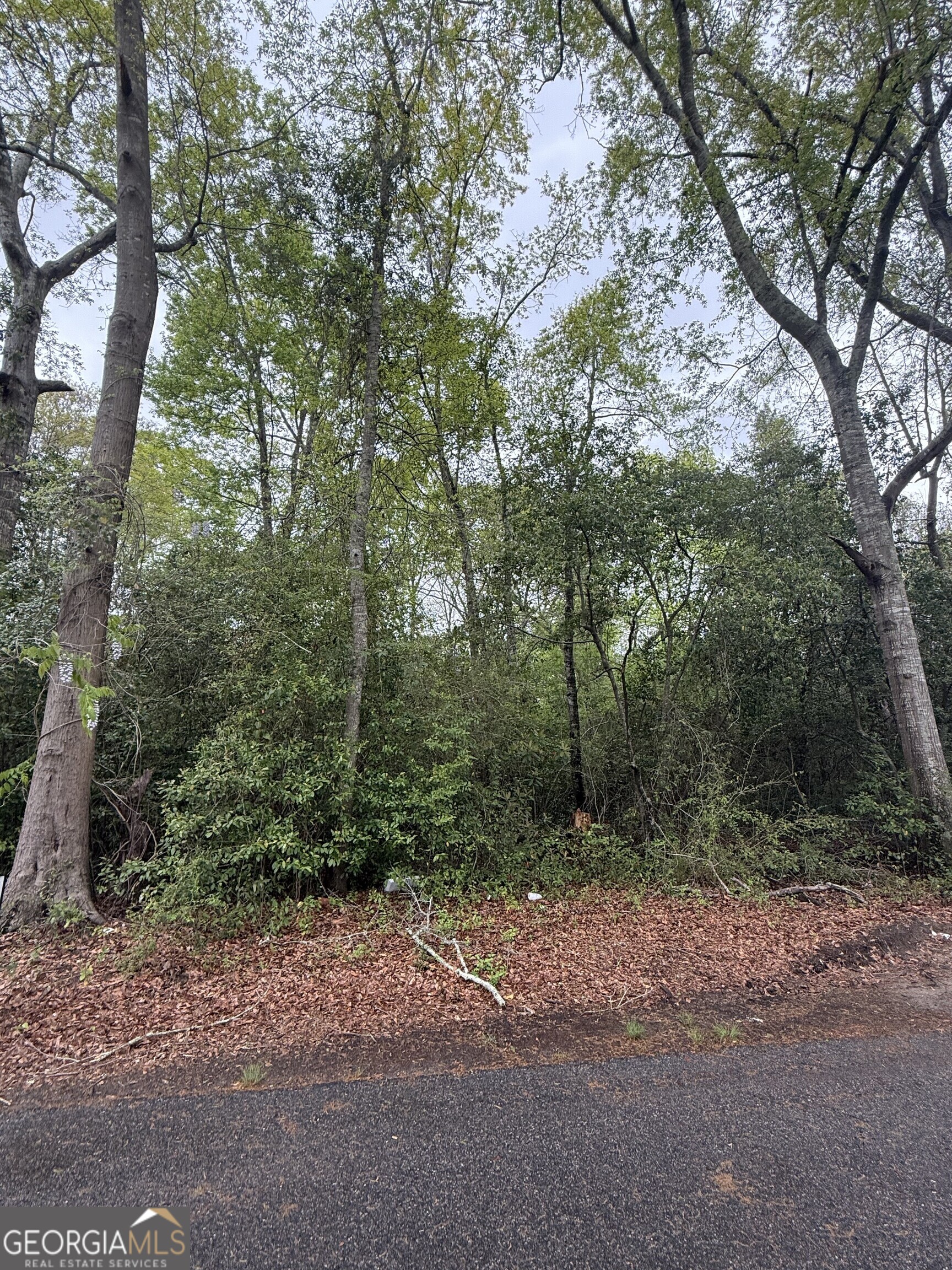 0 Ash Alley