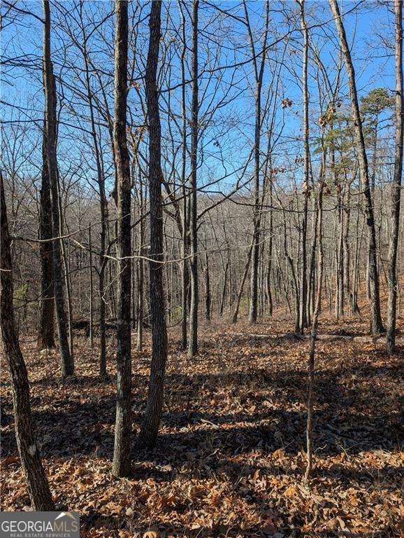 1422 Hanna Drive Property Photo 3