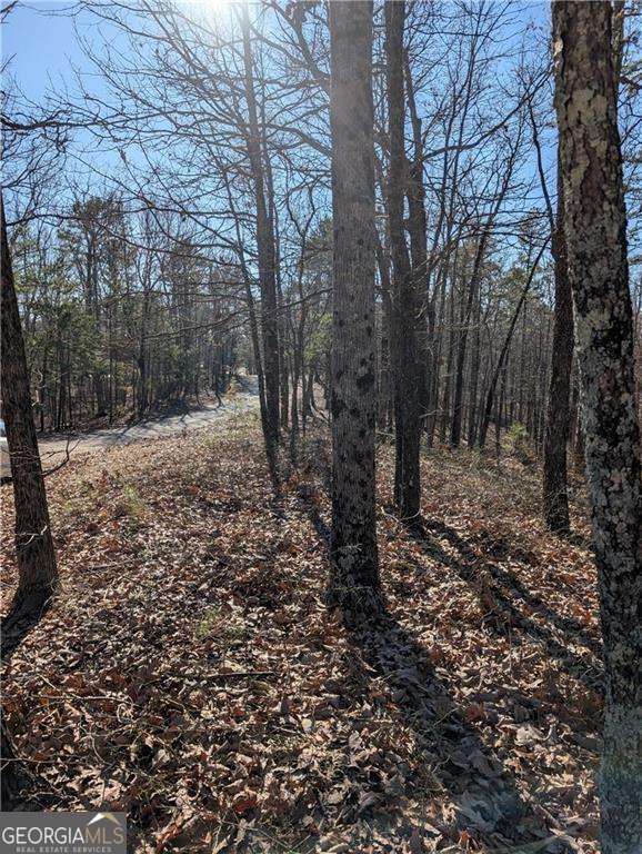 1422 Hanna Drive Property Photo 4