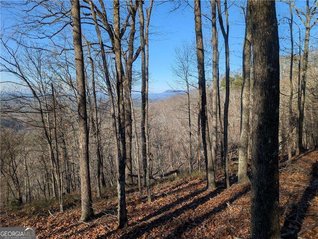 234 Stirratt Road Property Photo 2