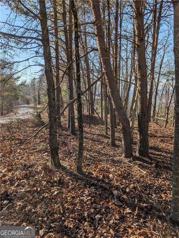 234 Stirratt Road Property Photo 7