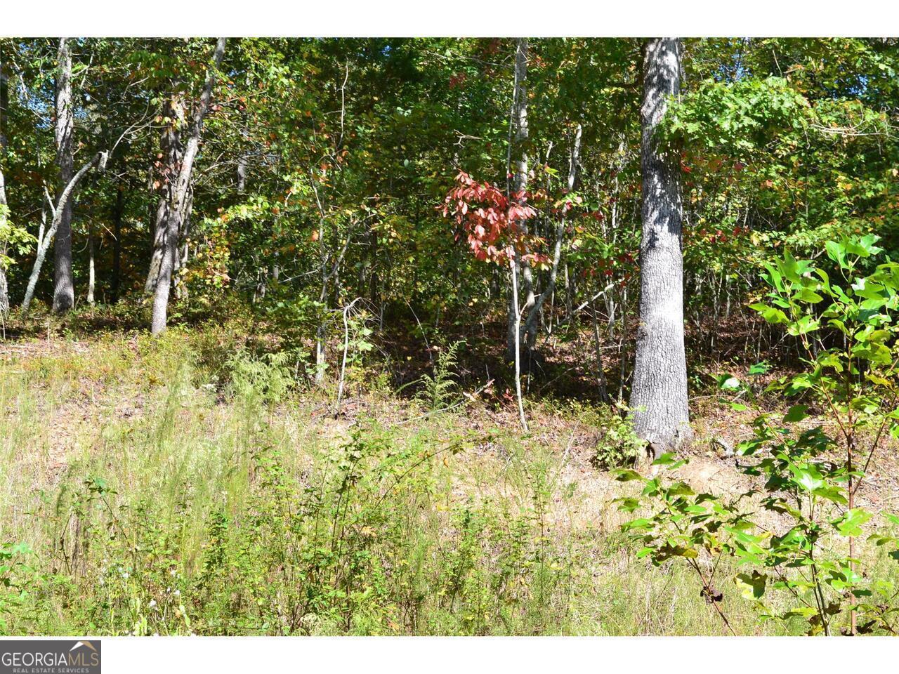 0 Hiawassee Lane Property Photo 1