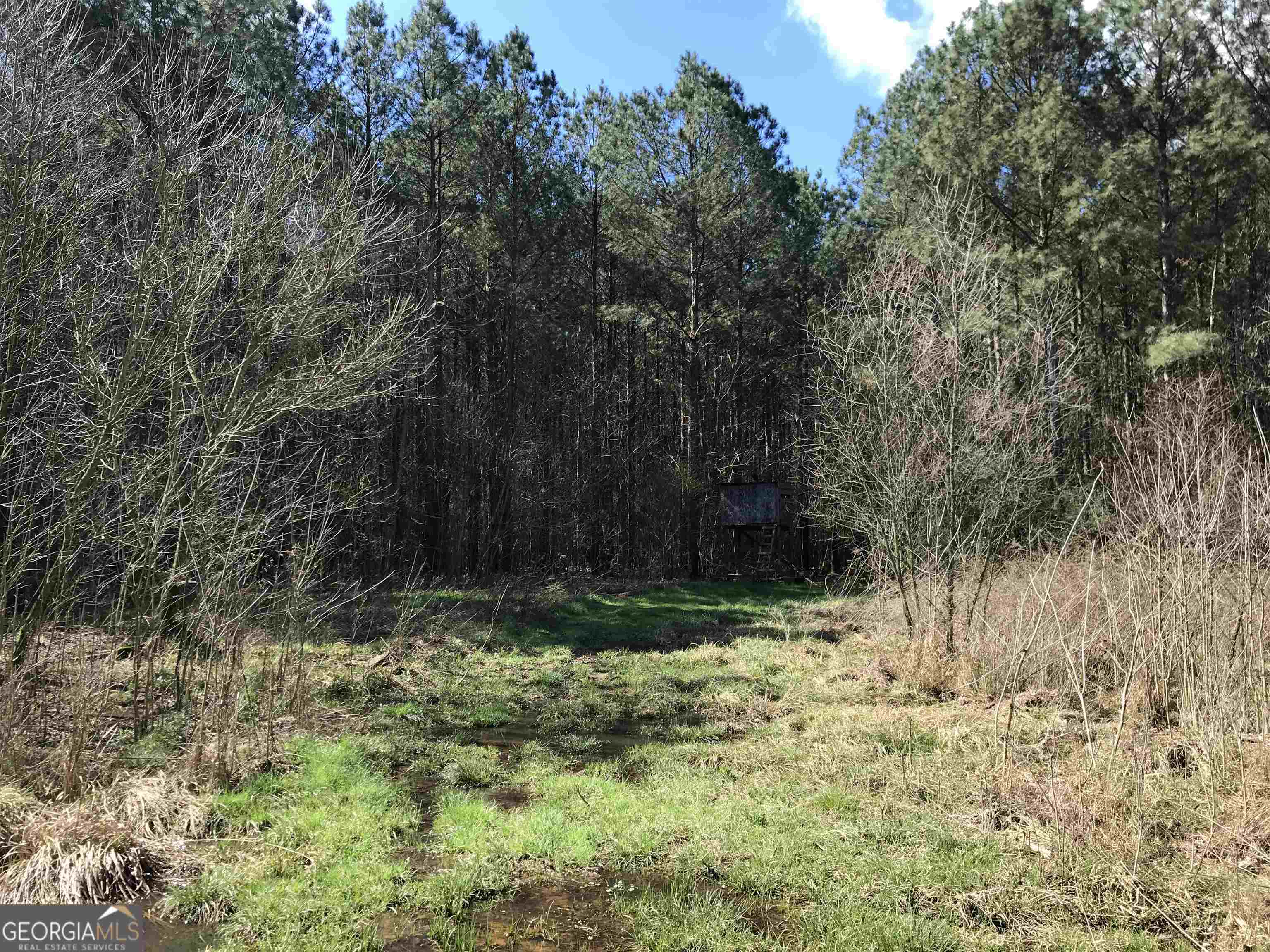 0 Covington Bridge Road # 9619 Property Photo 10