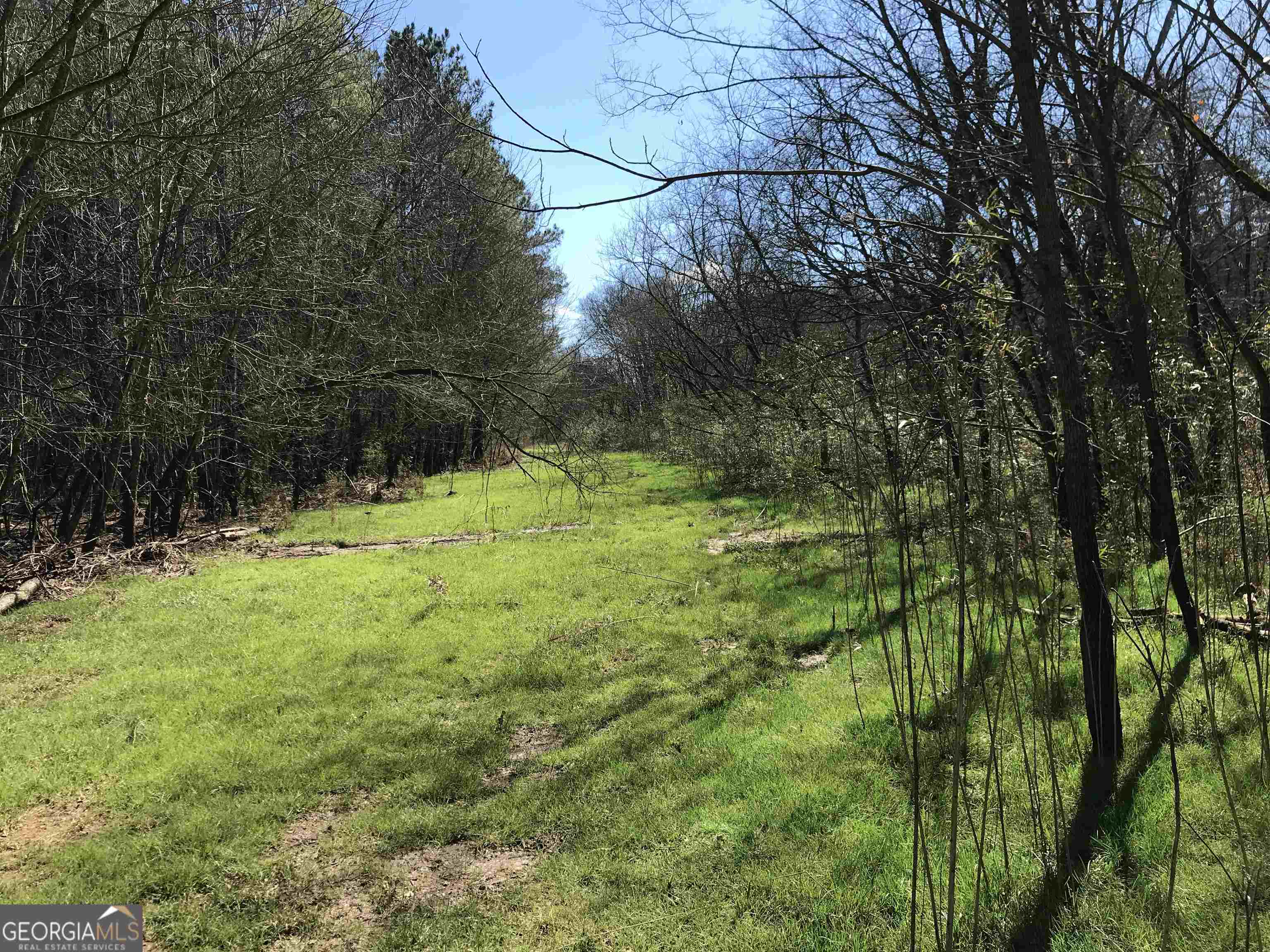0 Covington Bridge Road # 9619 Property Photo 19