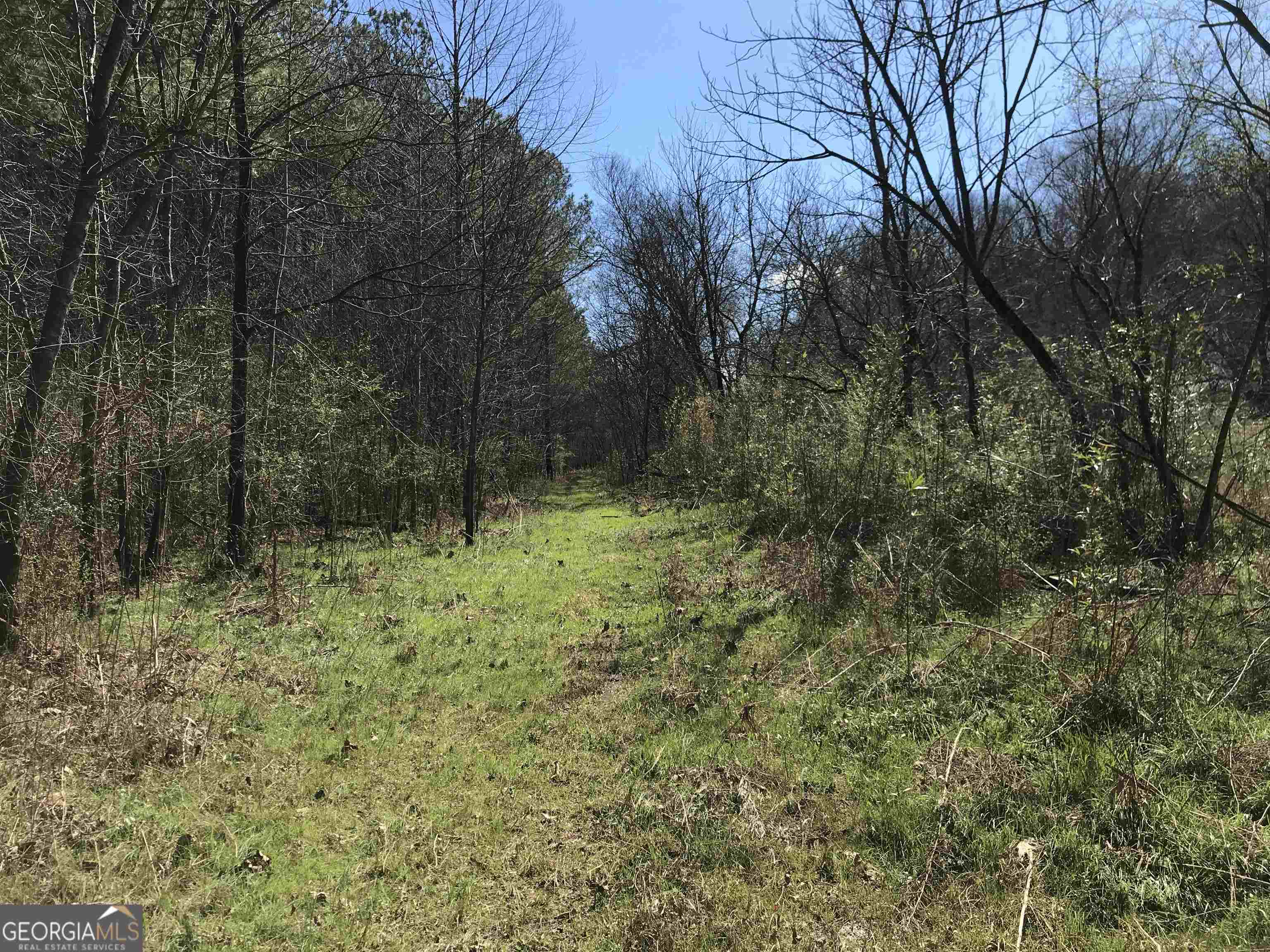 0 Covington Bridge Road # 9619 Property Photo 22
