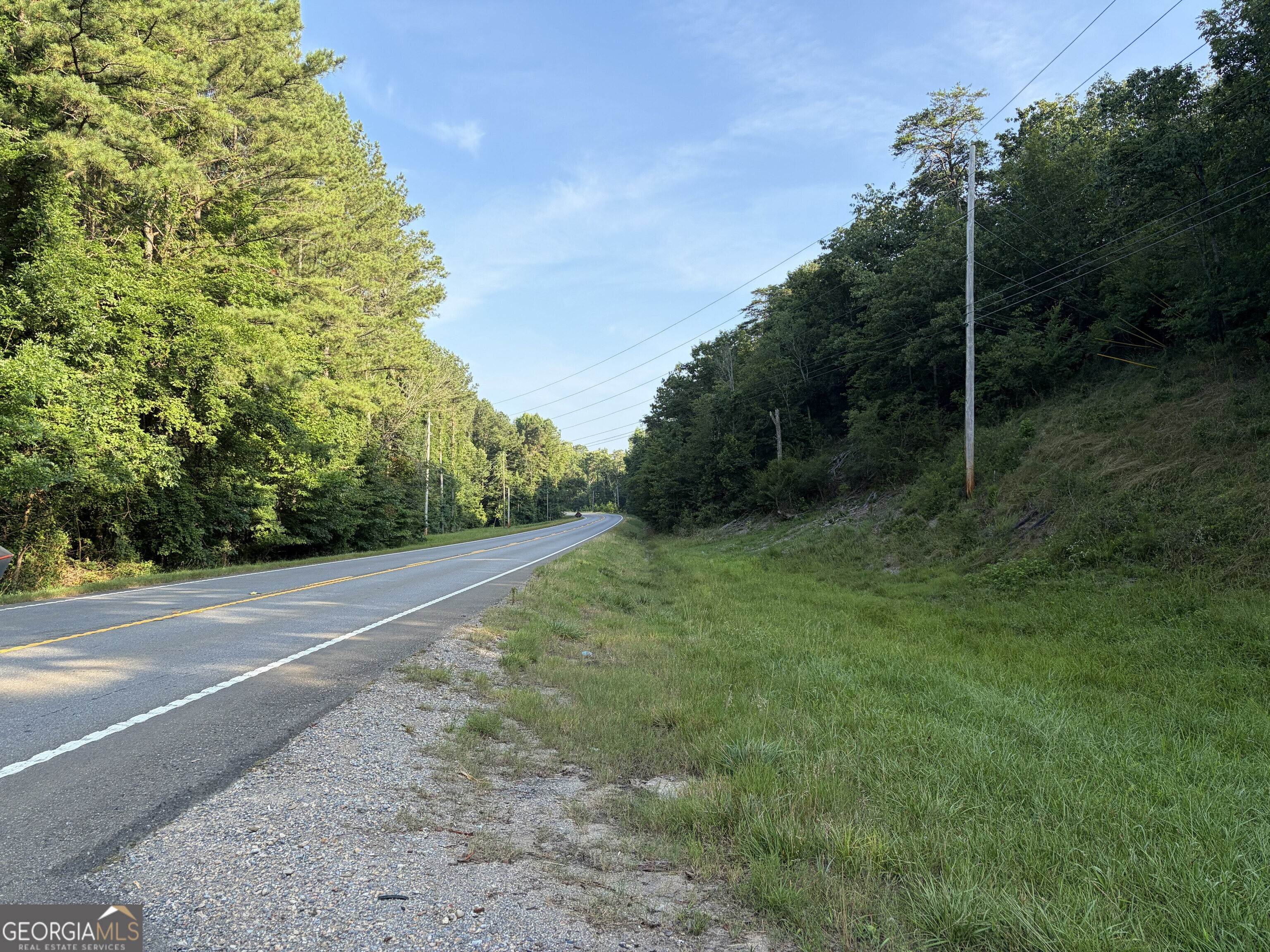 0 Fairmount Highway # P Property Photo 3