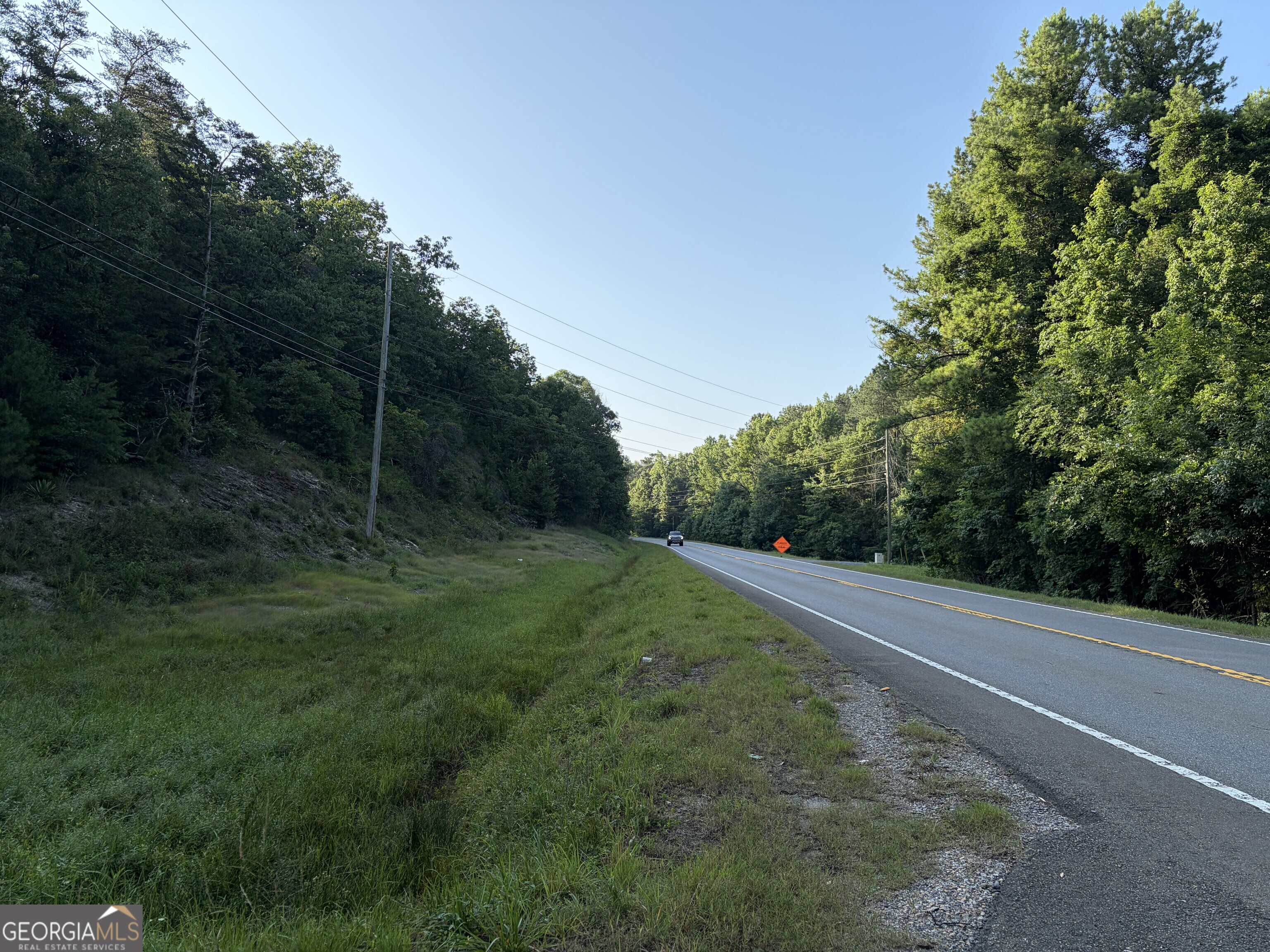 0 Fairmount Highway # P Property Photo 4
