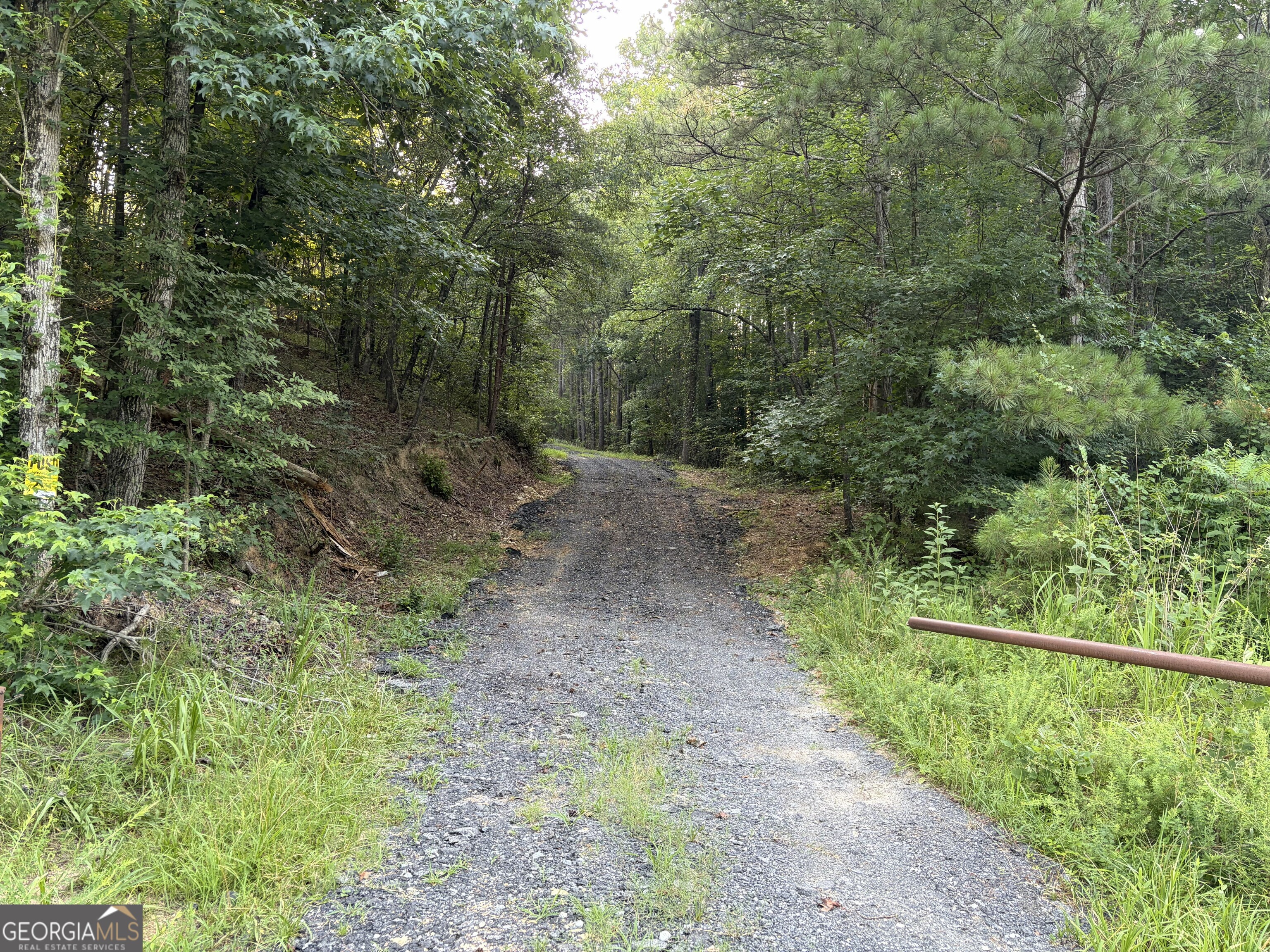 0 Fairmount Highway # P Property Photo 5