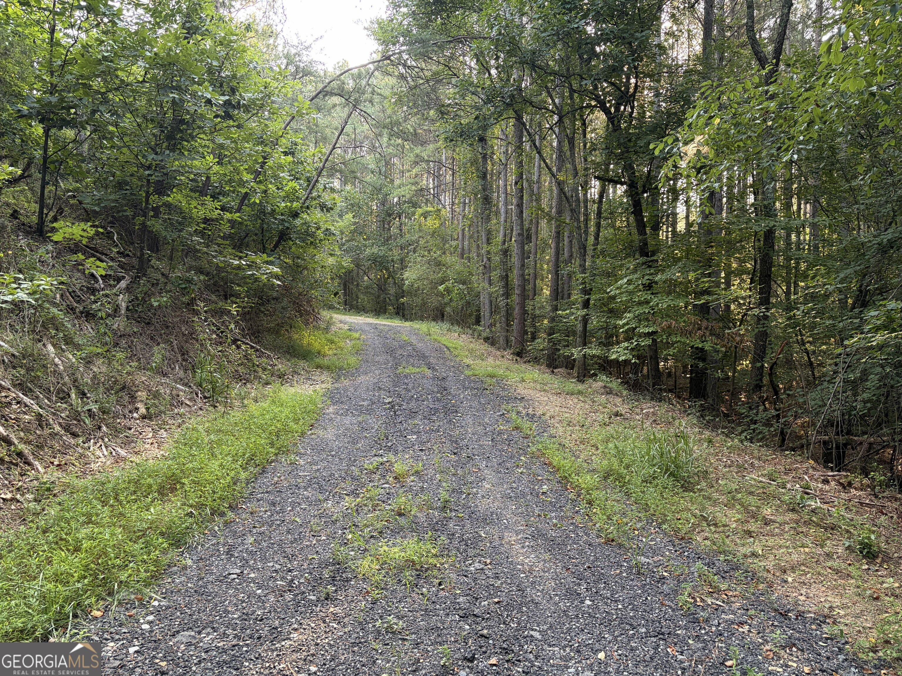 0 Fairmount Highway # P Property Photo 6