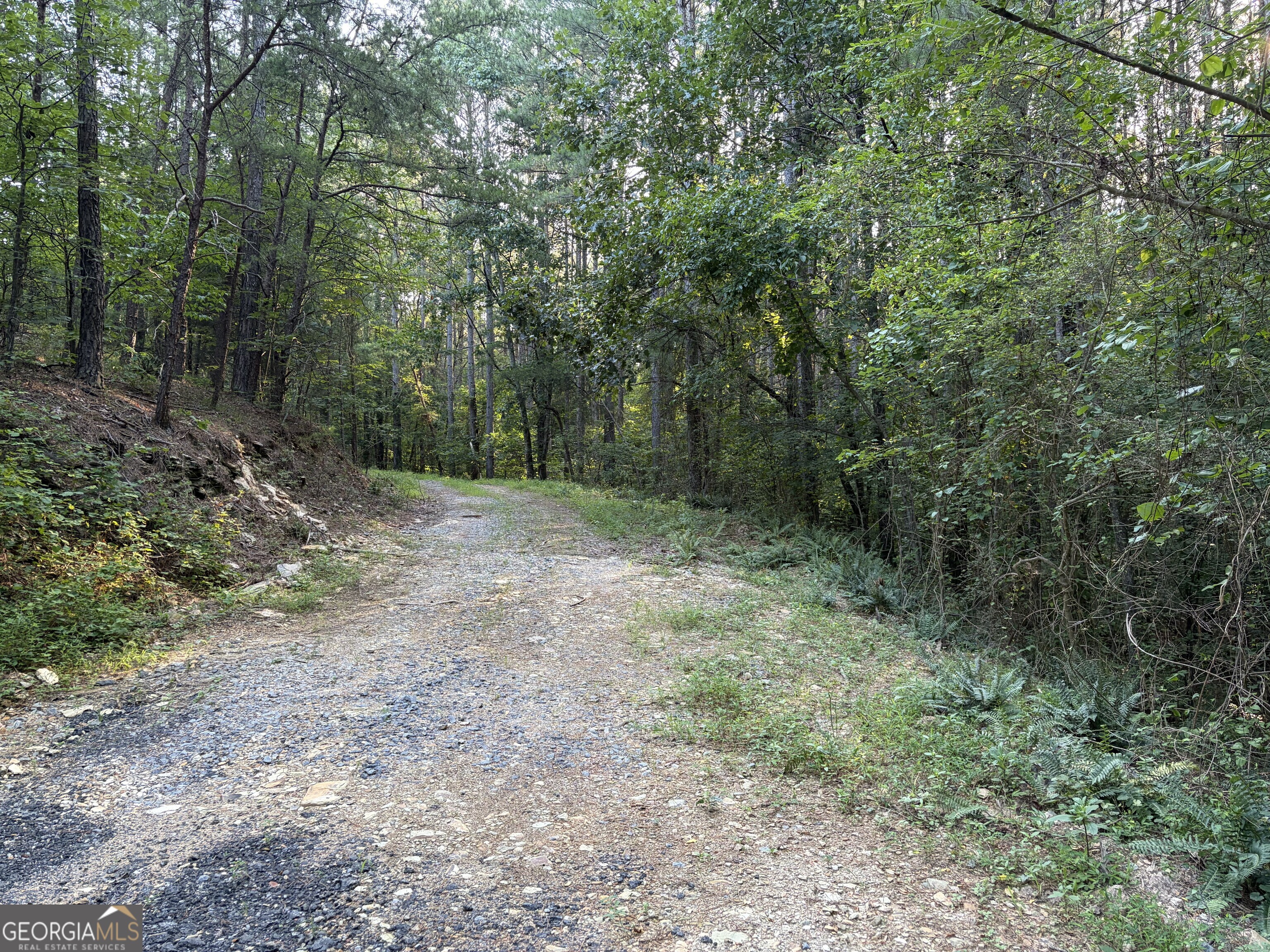 0 Fairmount Highway # P Property Photo 7